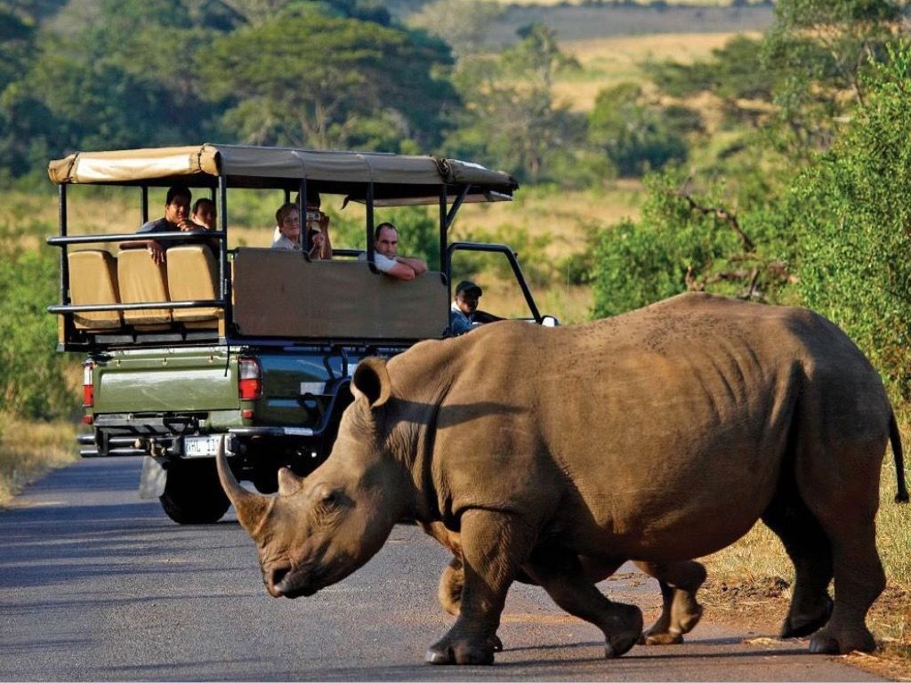 Kenya Wildlife Adventure 2