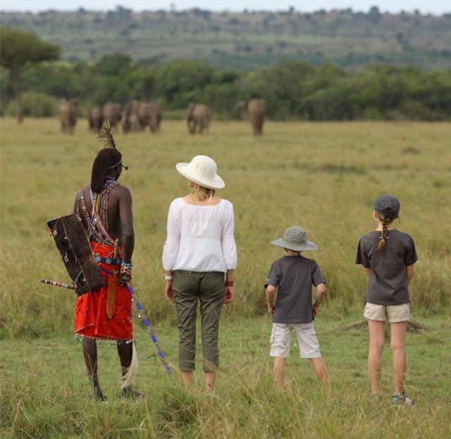 Kenya Wildlife Adventure 3