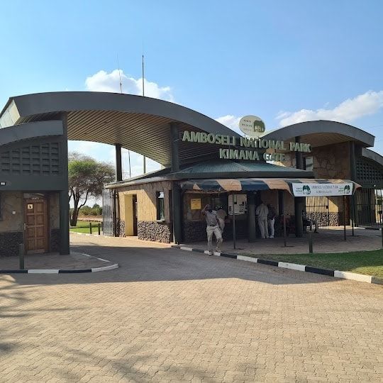 Amboseli Safari